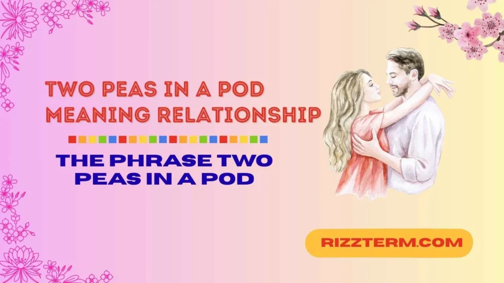 "two peas in a pod meaning relationship"